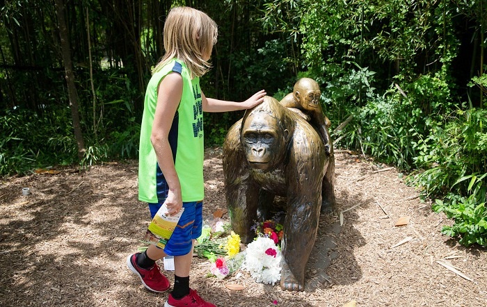 A child touches the head of a gorilla statue where flowers have been placed outside the Gorilla World exhibit at the Cincinnati Zoo & Botanical Garden.