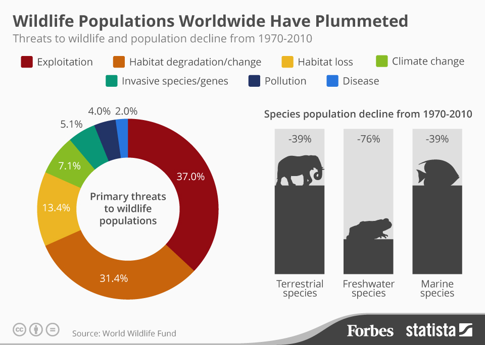 World's wildlife population has declined 60 percent in last 40 years: WWF