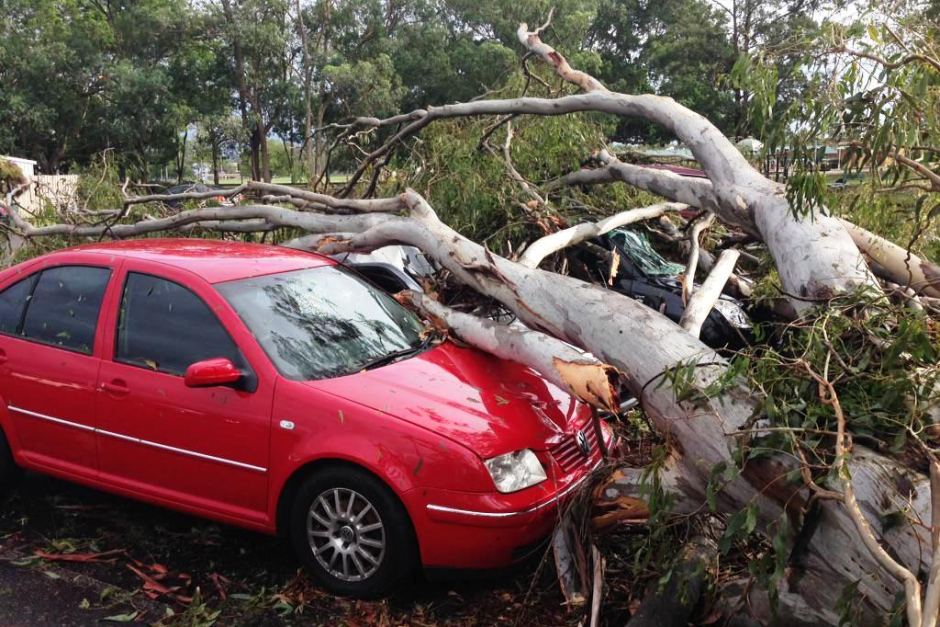 A car damaged by a fallen tree at the Annerley soccer club in Brisbane after severe thunderstorms, November 28, 2014. ABC News: Katie Cassidy
