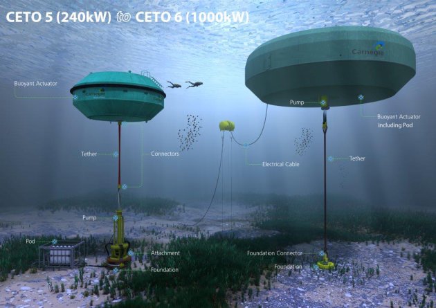 CETO 5 underwater farm