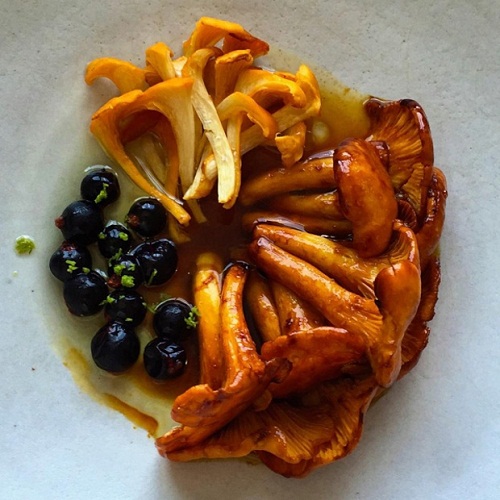  A stew of chanterelle mushrooms and wild blackcurrants from Noma Sydney. Photograph: @reneredzepinoma/Instagram