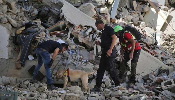 A sniffer dog is used to seek out any survivors under a collapsed building in Amatrice on Wednesday morning
